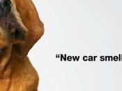 It’s Puppy Bowl Time