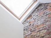 Slim House Extension Alma-nac