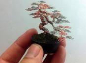 Miniature Bonsai Trees