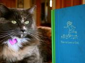 We’re Having Baby….