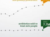 Meat Industry Uses Nation’s Antibiotics