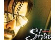 Venkatesh’s Shadow Facing Business Problems