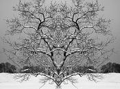 Exploring Symmetry Mirrored Imagery