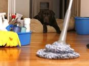 Tips Spring Cleaning