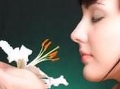 Best Herbs Skin Care Some Well-known Used Cooking Also Offer Healthy Benefits Care.