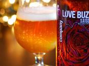 Valentine’s Craft Beer Review Anchorage Brewing Love Buzz Saison