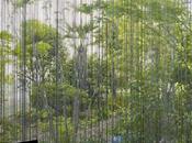 Garden House Kochi Architect’s Studio