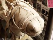 Images from Itty Bitty Acres Converse, Indiana