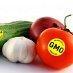 Genetically Modified Food Save Lives?