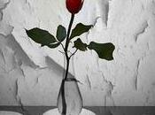 Proud Asexual/The Liberating Truth About Asexuality