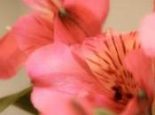 Depth Jealousy/Lies, Deception, Corruption, Destruction, Through Jealous Envious.