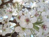 True Story Born With Caul/Living “The Life” Spirituality Child Caul