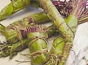 Khat: Psychologist's Field Trip