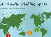 Decline Black Marlin