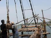 Chinese Fishing Nets Catching Tourists India