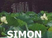 Romeo Juliet Meets East West, Review Marius Hancu’s “Simon Hiroko”