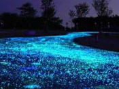 Glow-Crete Aqua Blue Overlay