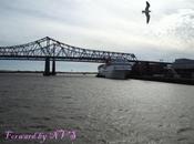 Weekly Photo: Forward