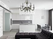 Black White Apartment Moscow Interiors