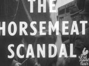 Horsemeat Scandal: SIMPLIFIED
