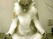 Fitness Friday: Learning Love Yoga