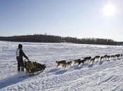 Iditarod 2013: Last Great Race Begins Tomorrow!