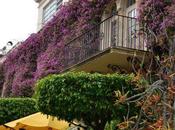 Lost Details —Weekly Photo Challenge