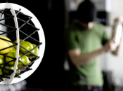 Pick Hanging Fruit Basket