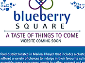 Blueberry Square Dbayeh: Open