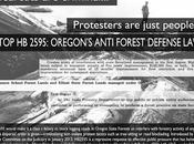 When Forest Defense Outlawed…