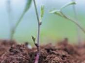 Carbon Farming Sowing Seeds Sustainable Future