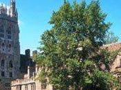 Yale Hosts Workshop Teaching “sensitivity” Bestiality Incest