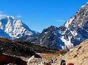 Looking Expeditions Film Television Series