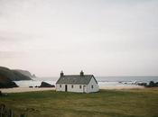 SHAYvorites, 3.8.2013