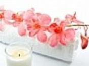 Immovable Firmly Fixed