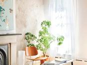 Light-filled Living Room Brooklyn