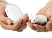 Analogies Innovation