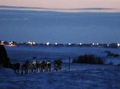 Iditarod 2013: Jeff King Takes Lead Home Stretch Begins