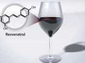 Anti-aging Drugs Clarification Resveratrol SIRT1 Activators
