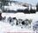 Iditarod 2013: It's Crowded Leaderboard