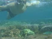 Underwater Dumaguete