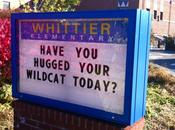 Street Feet: Have Hugged Your Wildcat?