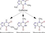 Dying Caffeine