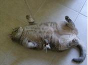 It’s (not) Complicated