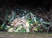 Making Your Compost