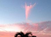 Angel Over Florida