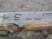 77/365 Message from Very Long Off...