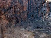Zion Part