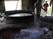 India Jaggery Factory