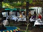 Orleans Road Trip Adventure (Day Three)